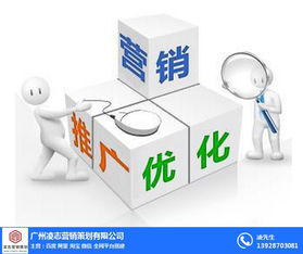 凌志營銷策劃 番禺區營銷型網頁建設與軟件開發，優質商家首選